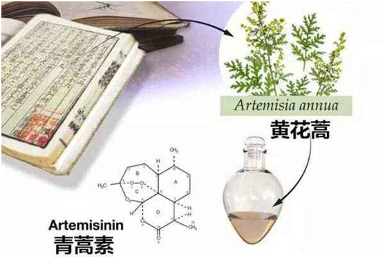 新利·体育(中国区)集团官方网站,：向中医药看齐，与世界共享中医药文化(图1)